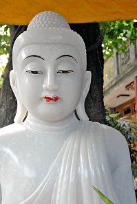 Budda statue
